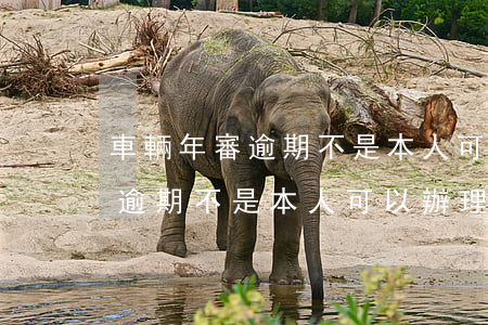 車輛年審逾期不是本人可以辦理嗎（車輛年審逾期不是本人可以辦理嗎）