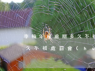 車輛年檢逾期多久不被處罰(車輛年檢逾期多久不被處罰會(huì)吊銷)
