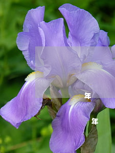 車輛年檢逾期幾天會(huì)有什么后果 車輛年檢逾期幾天會(huì)有什么后果嘛