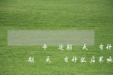 車輛年檢逾期幾天會有什么后果 車輛年檢逾期幾天會有什么后果嘛