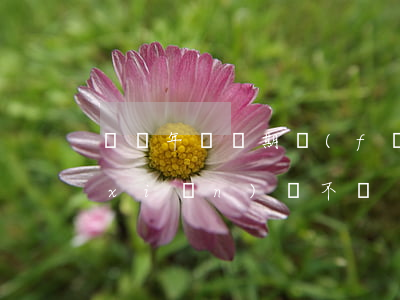 車輛年檢過期，發(fā)生交通事故保險(xiǎn)賠不賠