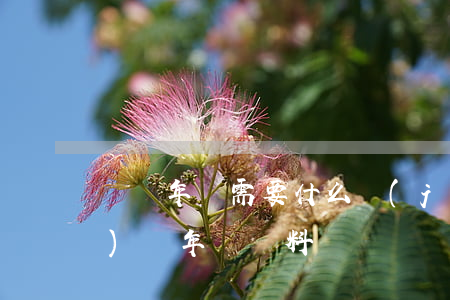 車輛年檢需要什么(機(jī)動(dòng)車年審資料)