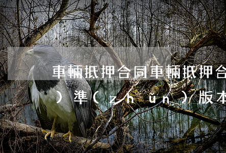 車輛抵押合同(車輛抵押合同的標(biāo)準(zhǔn)版本)