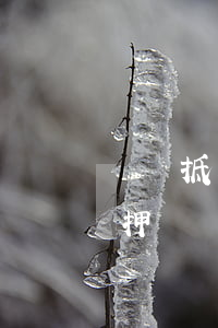 車輛抵押貸款逾期一期(車貸逾期而車又被抵押)