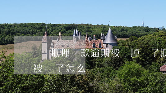 車輛抵押貸款逾期被賣掉(車子抵押貸款,車子被賣了怎么辦)