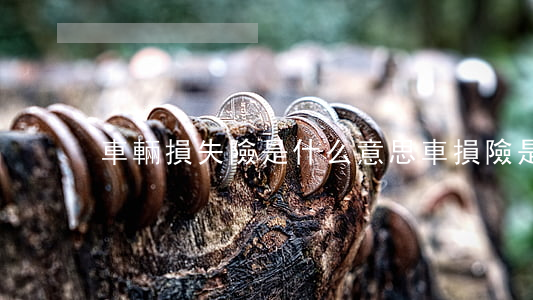 車輛損失險是什么意思(車損險是什么)
