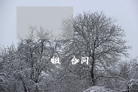 車輛租賃合同