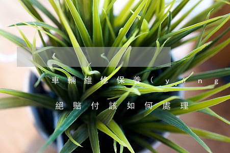 車輛維修保養(yǎng)期間保險公司拒絕賠付該如何處理