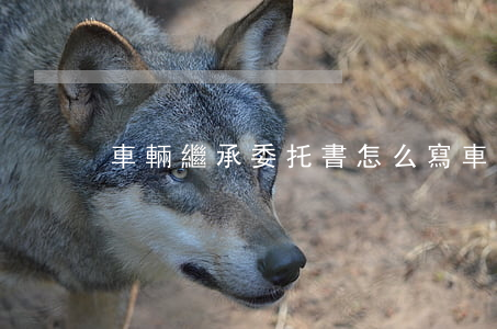 車輛繼承委托書怎么寫(車輛繼承遺囑范本)