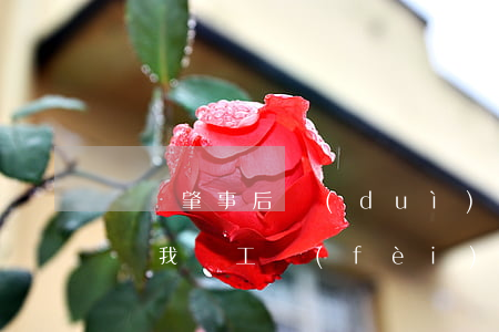 車輛肇事后對(duì)方全責(zé)賠償我誤工費(fèi)嗎(撞車對(duì)方全責(zé),應(yīng)該賠我誤工費(fèi)嗎)