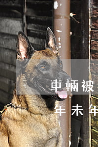 車輛被法院扣了逾期未檢5年(法院扣的車三年未年檢)