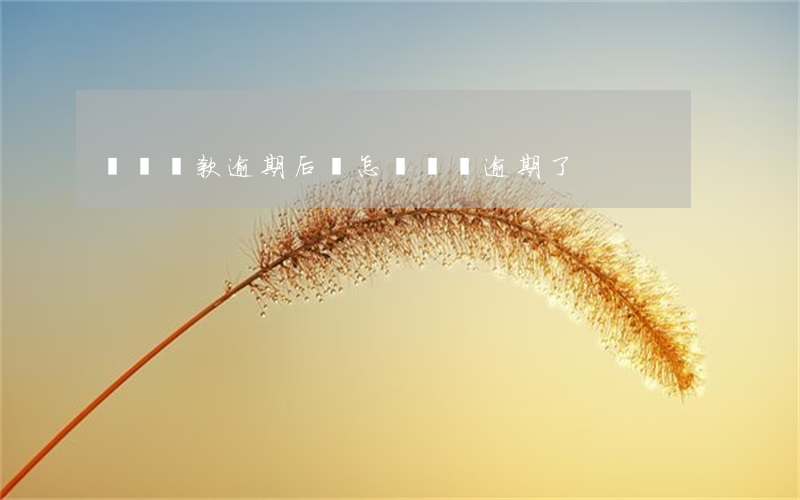 車輛貸款逾期后會怎樣(車貸逾期了)