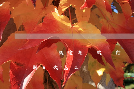 車輛貸款逾期幾次銀行(車貸連續(xù)逾期6次怎么辦)