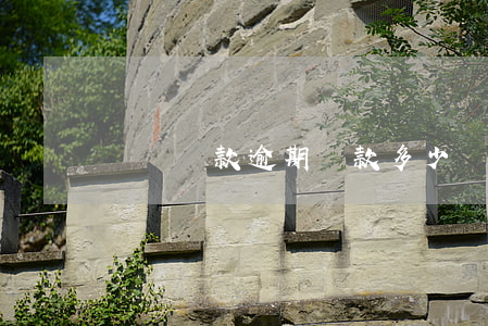 車輛貸款逾期罰款多少(車貸逾期罰款怎么算)