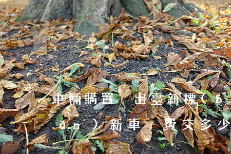 車輛購置稅出臺新標(biāo)準(zhǔn)！新車稅費交多少