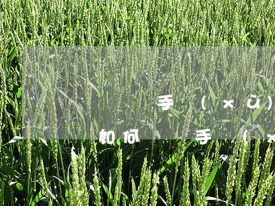 車輛贈與手續(xù)需要什么資料(贈與車輛如何過戶手續(xù))