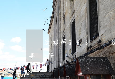 車輛逾期拆GPS 車貸逾期拆了gps是刑事責任嗎