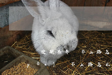 車輛逾期未年檢不上路怎么處罰(逾期未驗(yàn)車不上路怎么處罰)