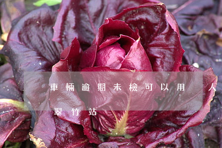 車輛逾期未檢可以用別人的分嗎-圓通快遞翠竹站