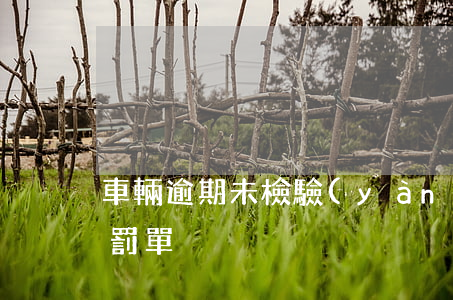 車輛逾期未檢驗(yàn)罰單(逾期未年檢罰單)