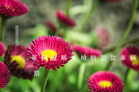 車輛逾期未檢驗罰款 車輛逾期未審驗如何處罰