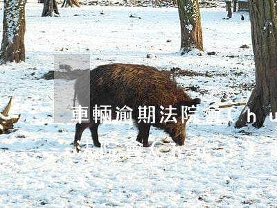 車輛逾期法院會(huì)起訴嗎（車輛逾期法院會(huì)起訴嗎）
