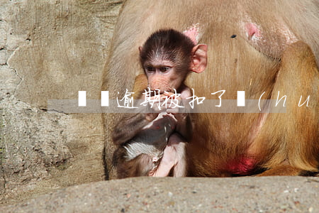 車輛逾期被扣了會(huì)怎樣