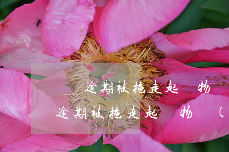車輛逾期被拖走起訴物業(yè)公司(車輛逾期被拖走起訴物業(yè)公司)