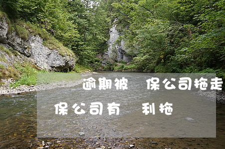車輛逾期被擔保公司拖走違法嗎(車貸逾期擔保公司有權利拖車嗎)