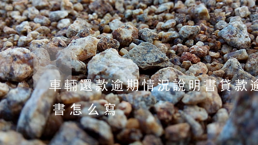 車輛還款逾期情況說明書(貸款逾期情況說明書怎么寫)
