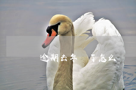 車逾期去年審了怎么辦（車逾期去年審）
