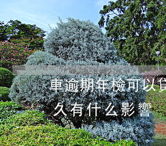 車逾期年檢可以貸款嗎(汽車年檢可以逾期多久,有什么影響)