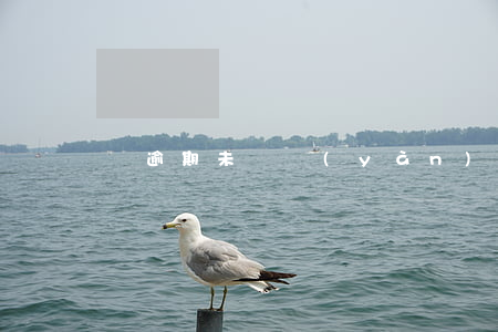 車逾期未審驗(yàn)如何處理