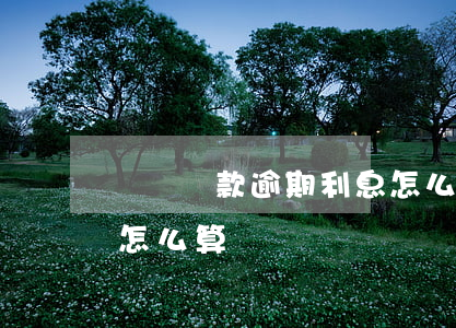 車還貸款逾期利息怎么算(車還貸款逾期利息怎么算)