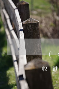 車險(xiǎn)12不賠，你不一定全知道，請收藏！