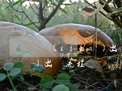 車險(xiǎn)出單流程(車險(xiǎn)出單流程)