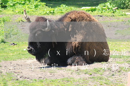 車險(xiǎn)怎么定損（車險(xiǎn)是定損打款還是修完打款）