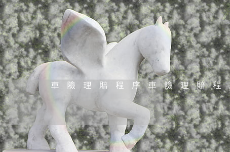 車險理賠程序(車險理賠程序分析)