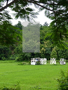 車體廣告合同