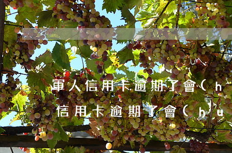 軍人信用卡逾期了會(huì)怎么樣(軍人信用卡逾期了會(huì)怎么樣嗎)