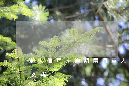 軍人信用卡逾期兩月(軍人信用卡逾期兩月怎么辦)