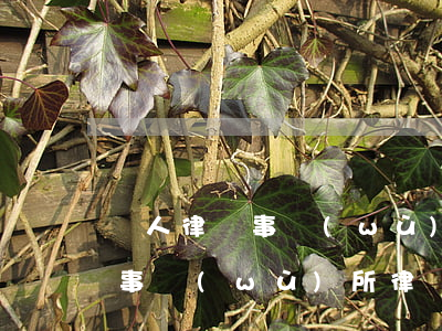 軍人律師事務(wù)所東莞(東莞莞信律師事務(wù)所律師)
