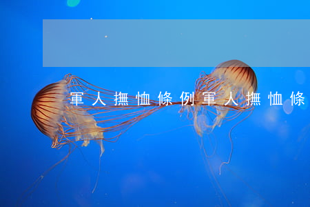 軍人撫恤條例(軍人撫恤條例釋義內容)