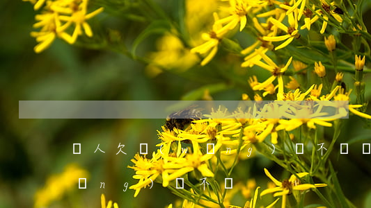 軍人欠網(wǎng)貸不還(軍人欠網(wǎng)貸不還)