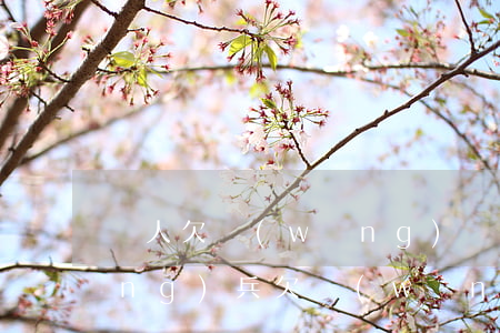 軍人欠網(wǎng)貸被告坐牢(當(dāng)兵欠網(wǎng)貸)