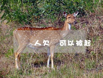 軍人欠錢可以被起訴嗎-軍人欠錢可以被起訴嗎