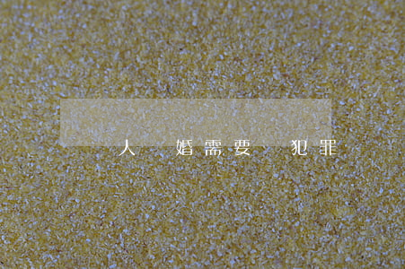 軍人結婚需要無犯罪記錄證明嗎