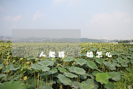 軍人老婆說離婚怎么辦