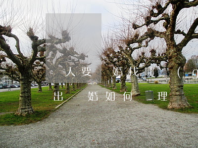 軍人要離婚找哪個(gè)部門辦理(軍人提出離婚如何辦理)