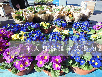 軍人身份證(軍人身份證號(hào)碼)